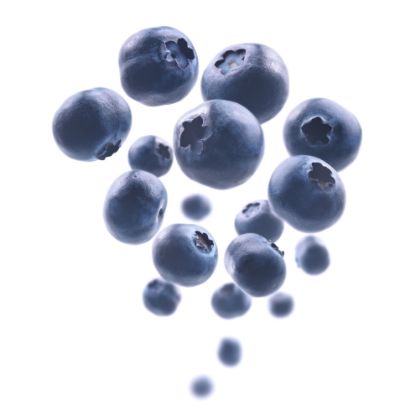 Picture of Blueberry 